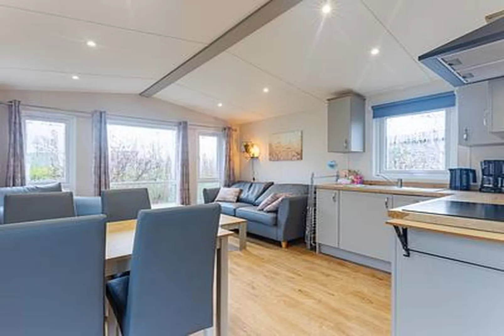 Duinhoeve Chalet Vogel - Huisdier niet toegestaan - Living room