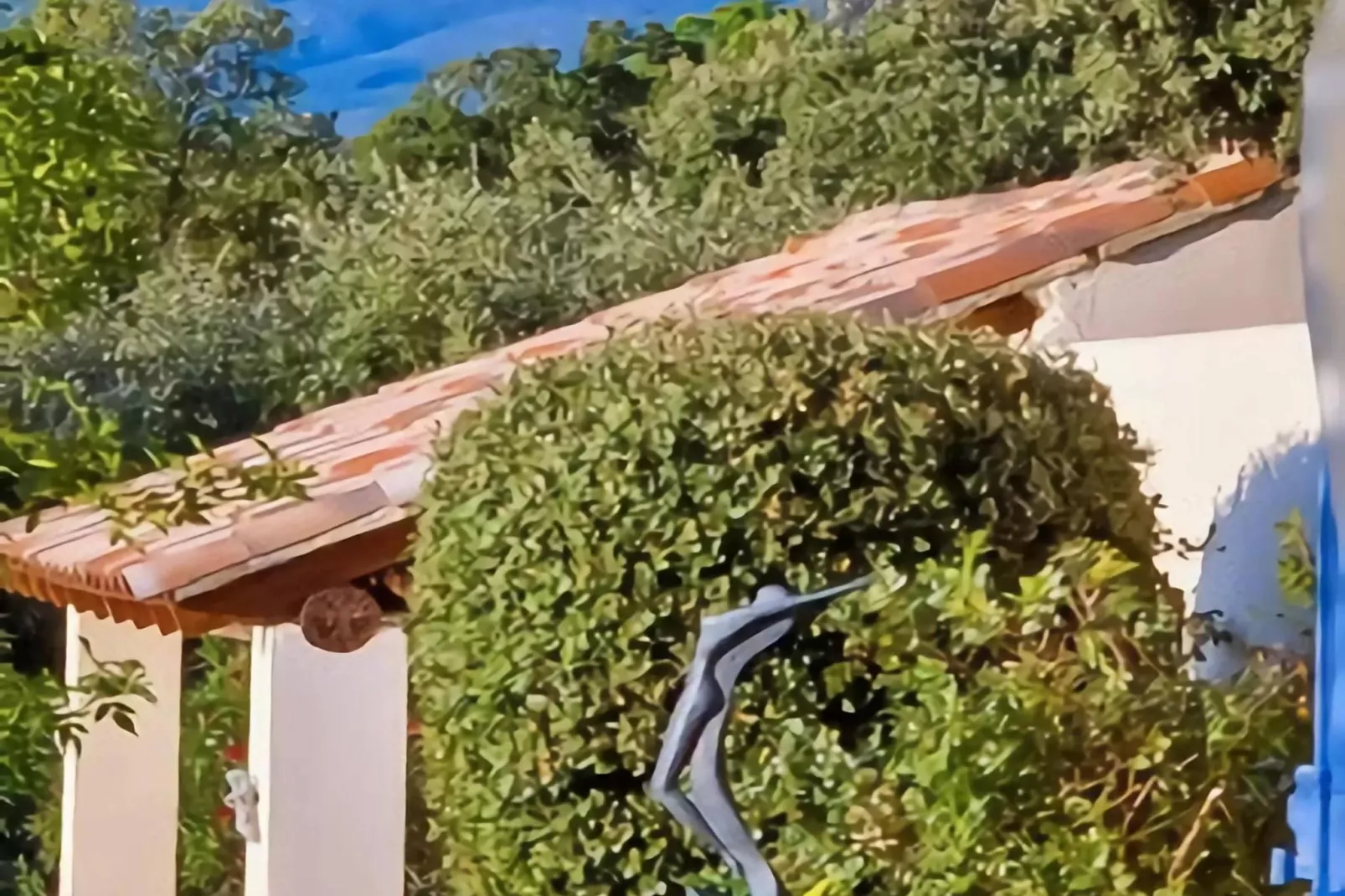 Villes sur Auzon - Gardens in summer