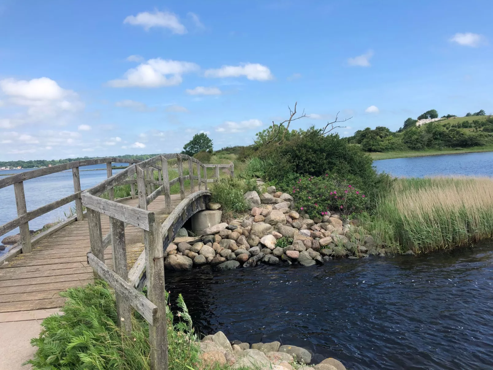 Ferienhaus - Draußen