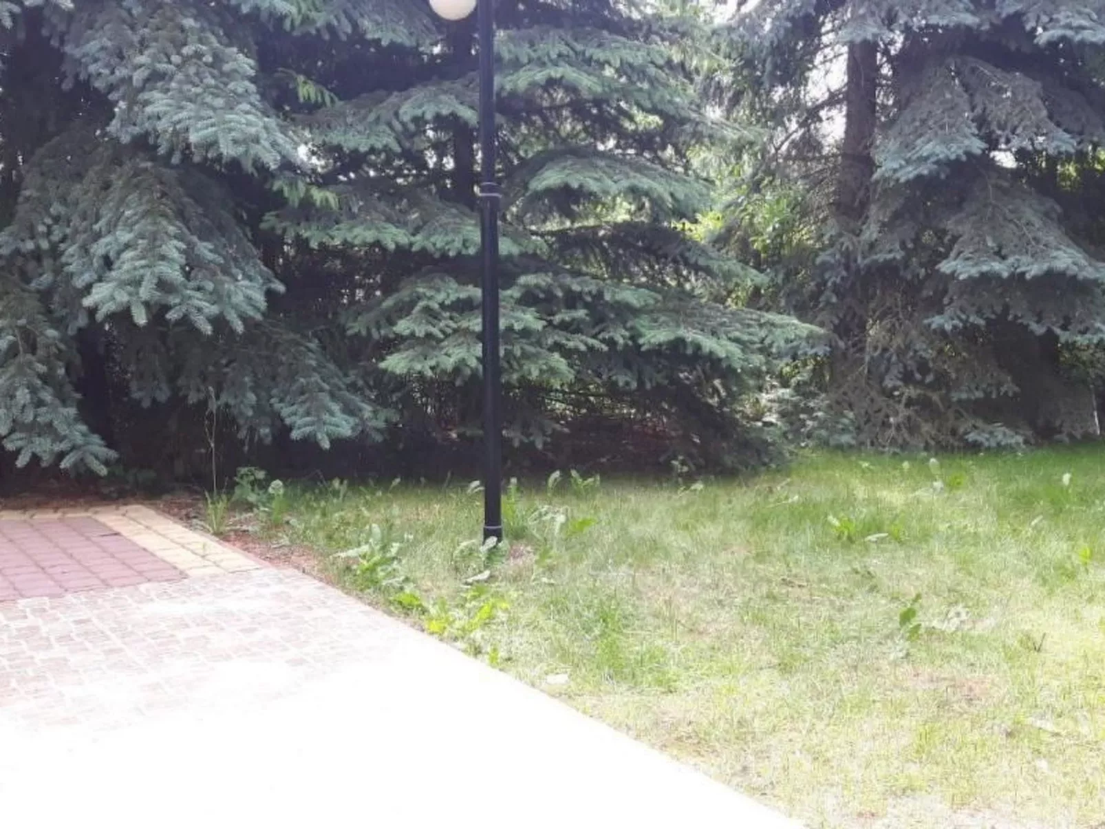 Mit Wasserblick - Dehors