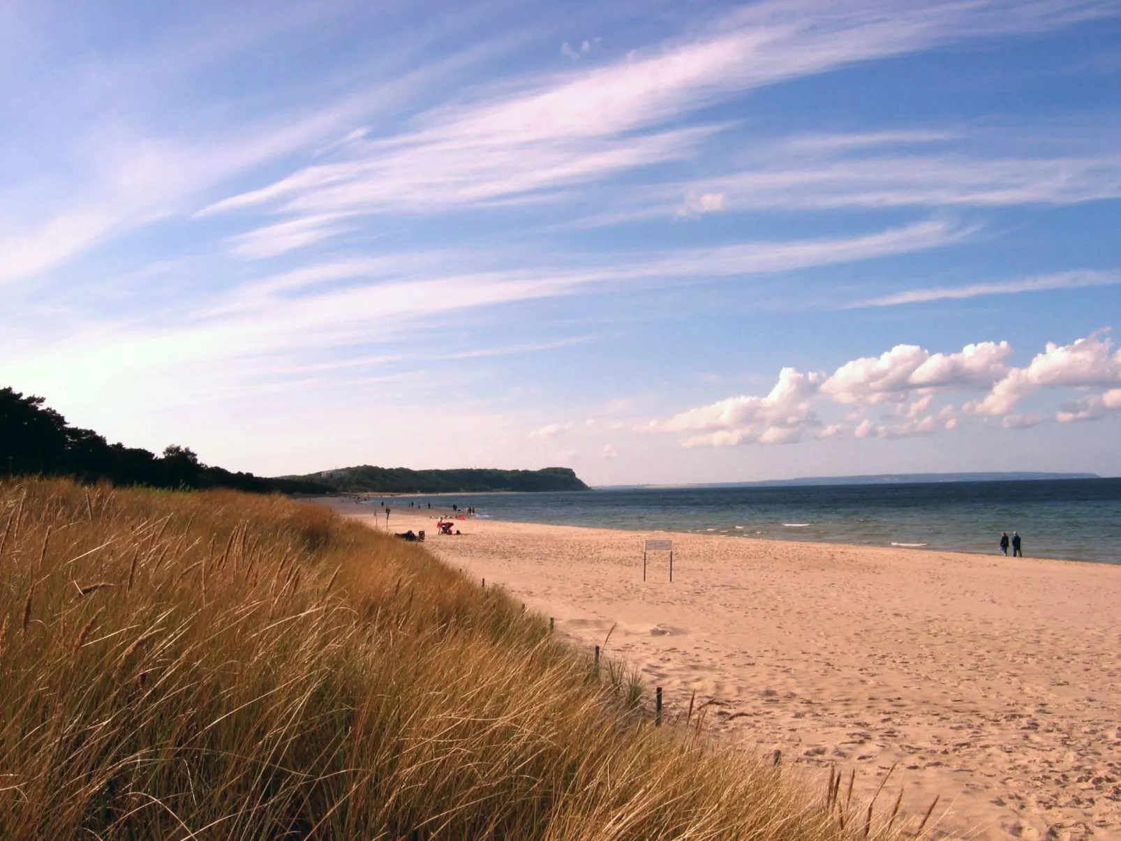 Tohus - Tamme - Image-tags.info