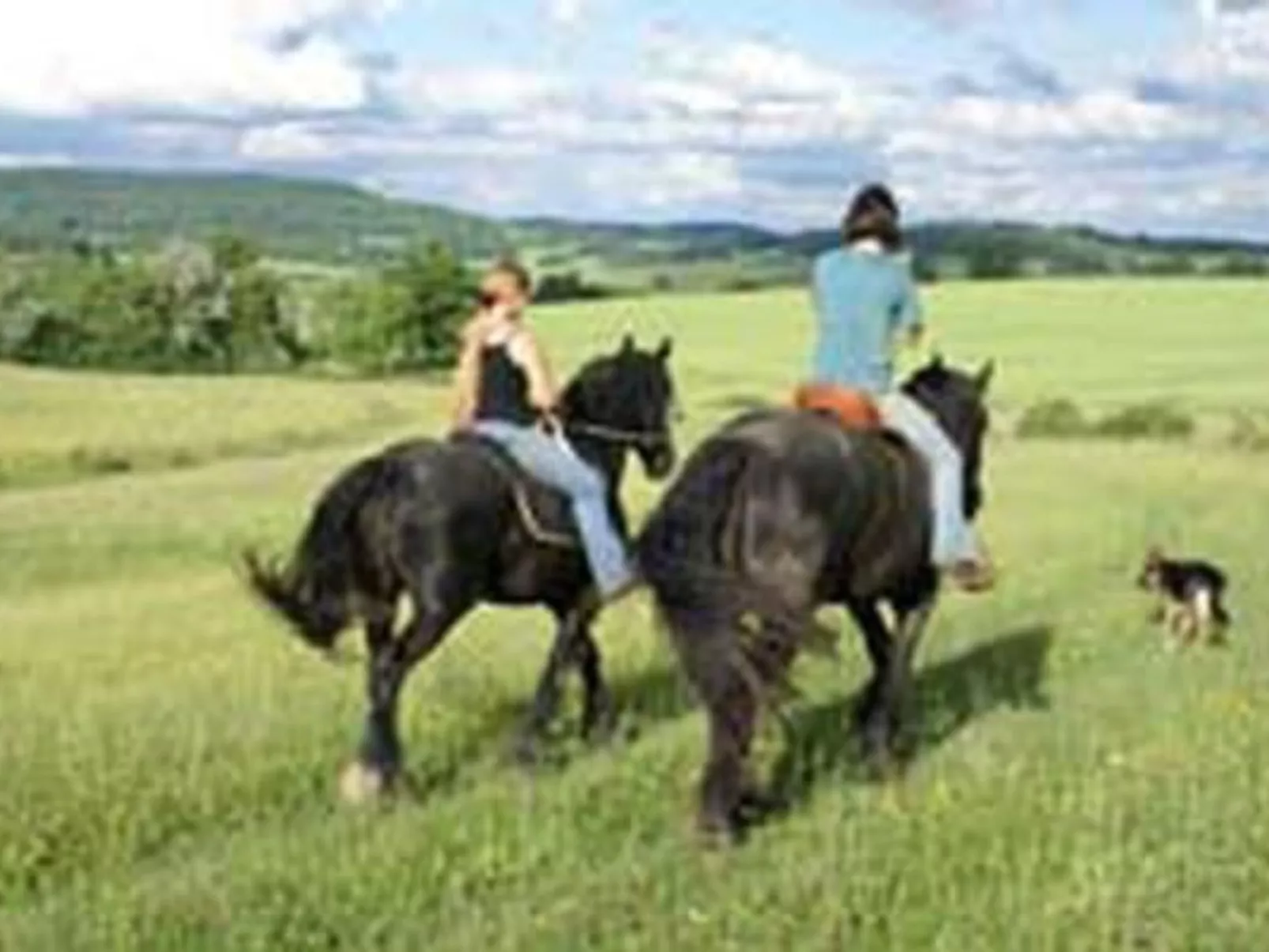 In Le Châtelet-Sur-Meuse mit Grill, Garten und Terrasse - Outside