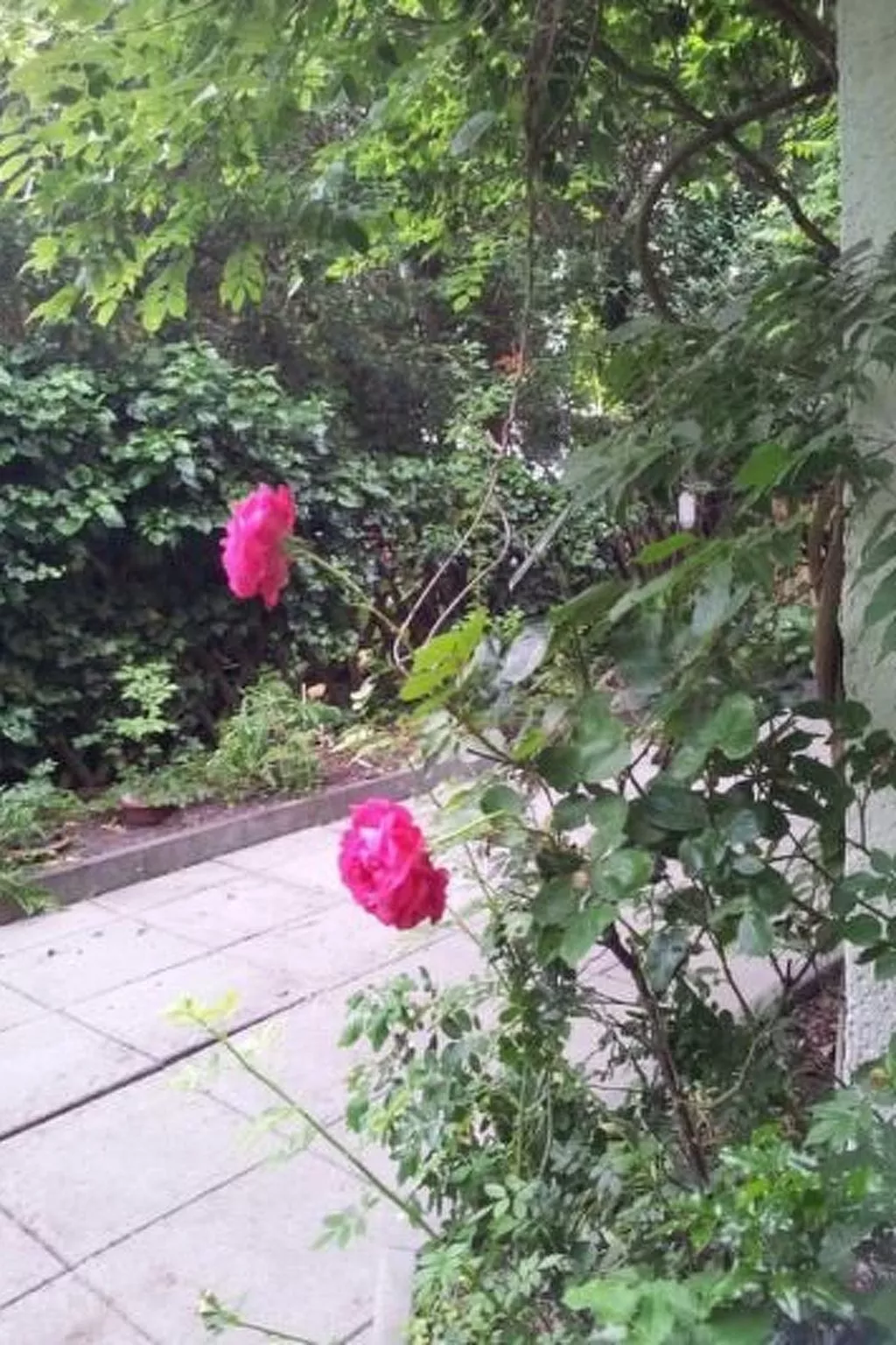 Kleine Villa West - Image-tags.info