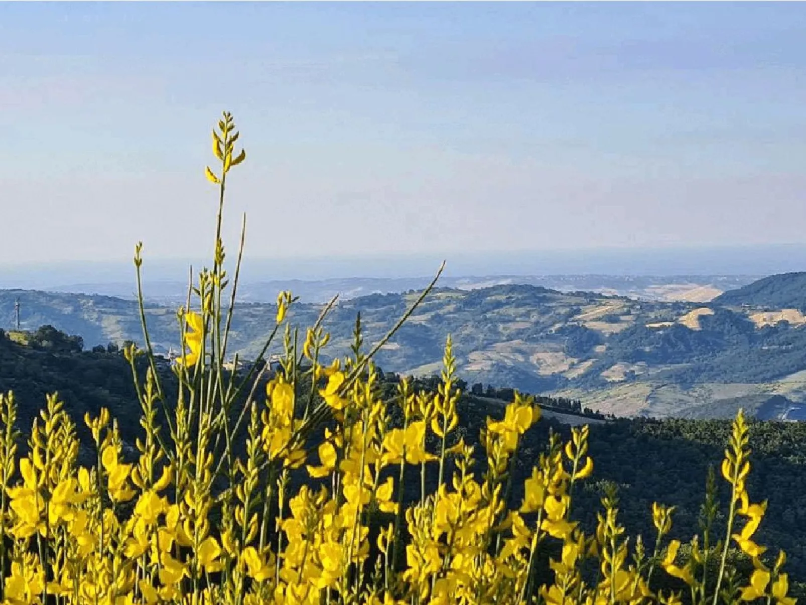 BeB Olmi - Image-tags.info