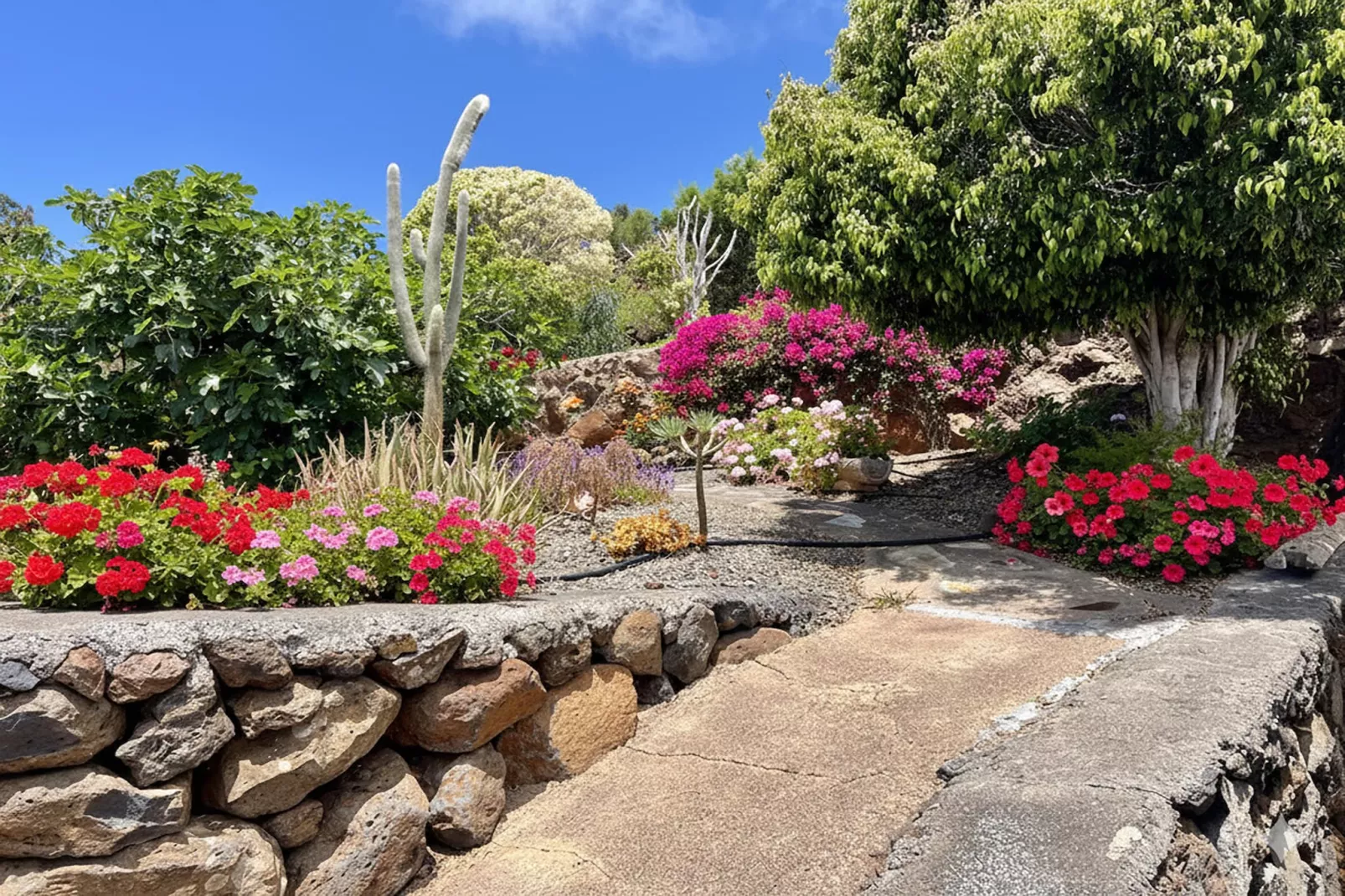 Casa Polear - Jardins en été