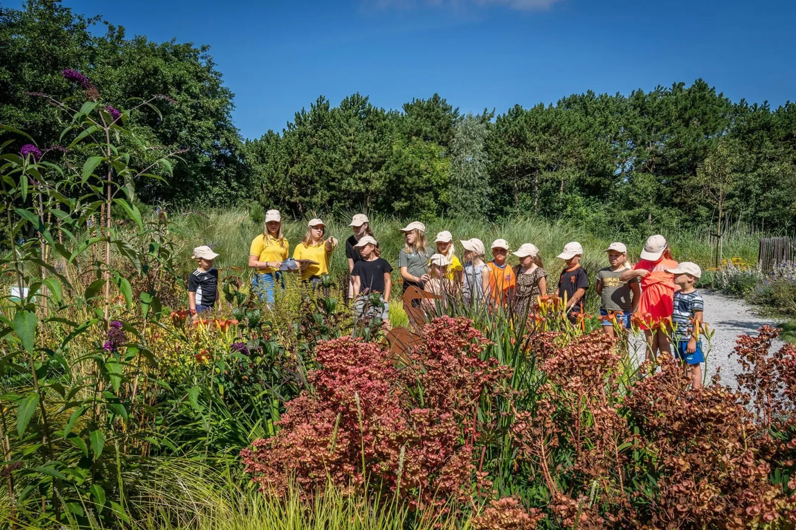 Vakantiepark de Krim 17-Parkeinrichtungen
