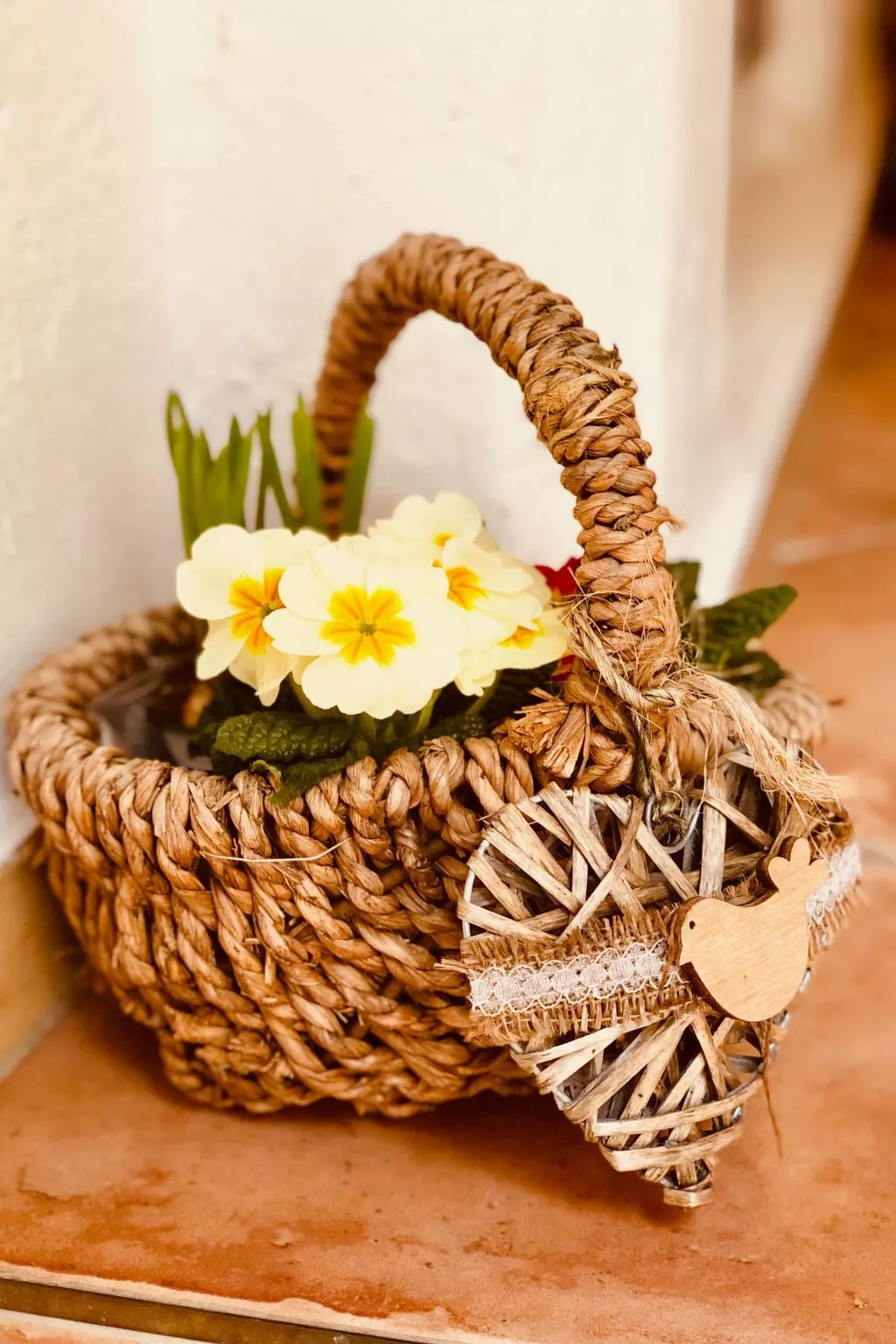 Neiße-Gästezimmer im Altstadthaus - Draußen