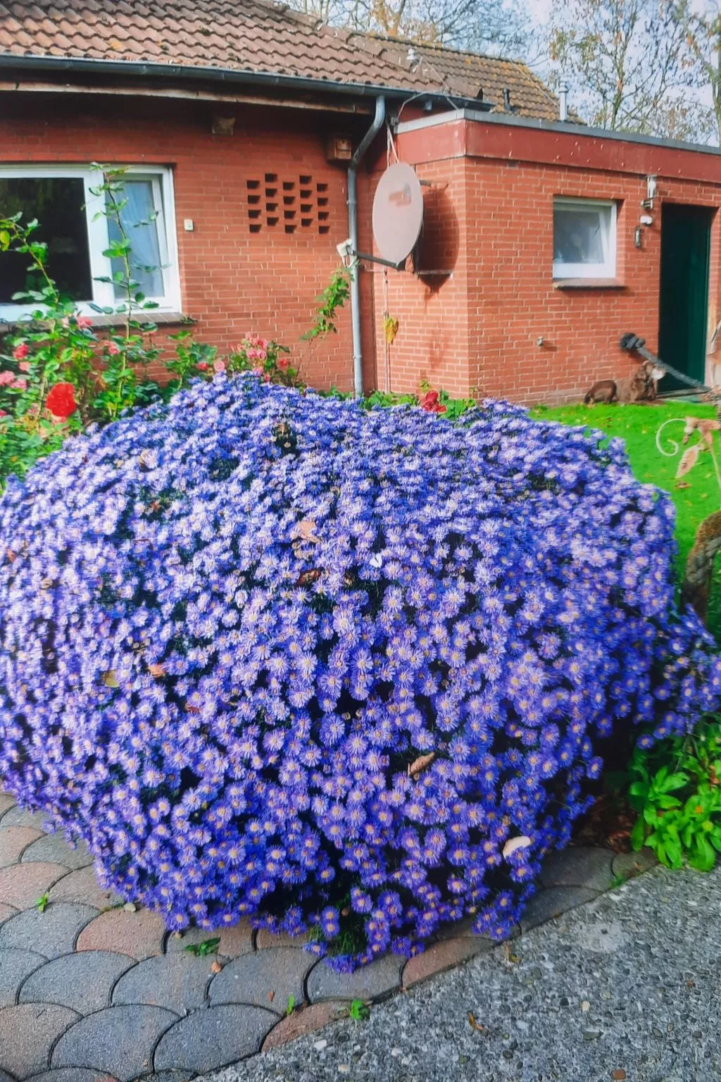 Doppelzimmer mit Frühstück - Outside