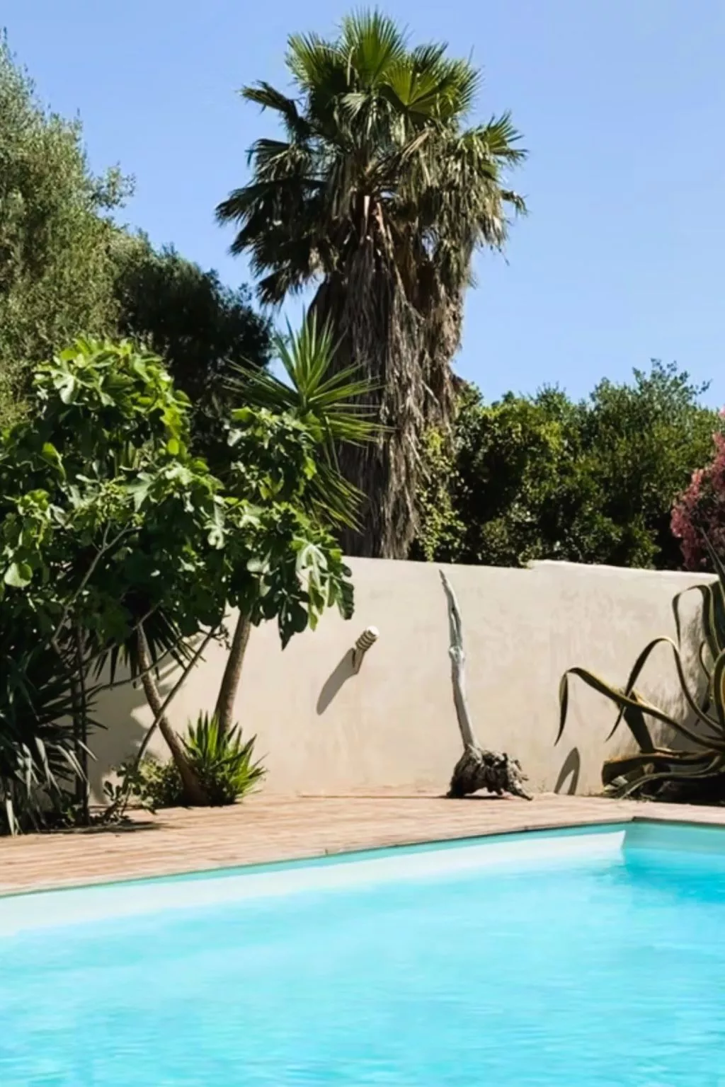 Tarabucetta - Dehors