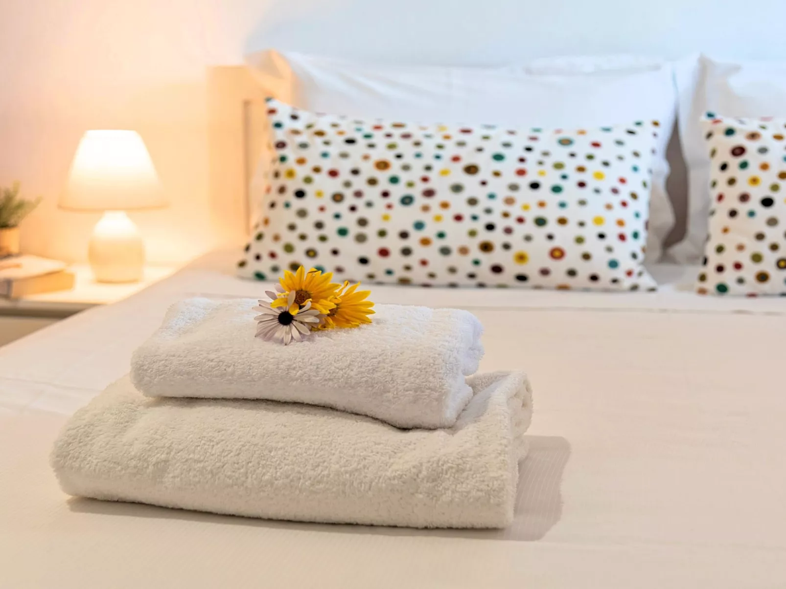 Villa Carolina Privater Pool - Image-tags.info