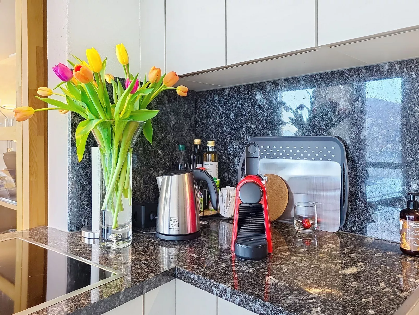 Apt. Tana dei Leoni - Dedans