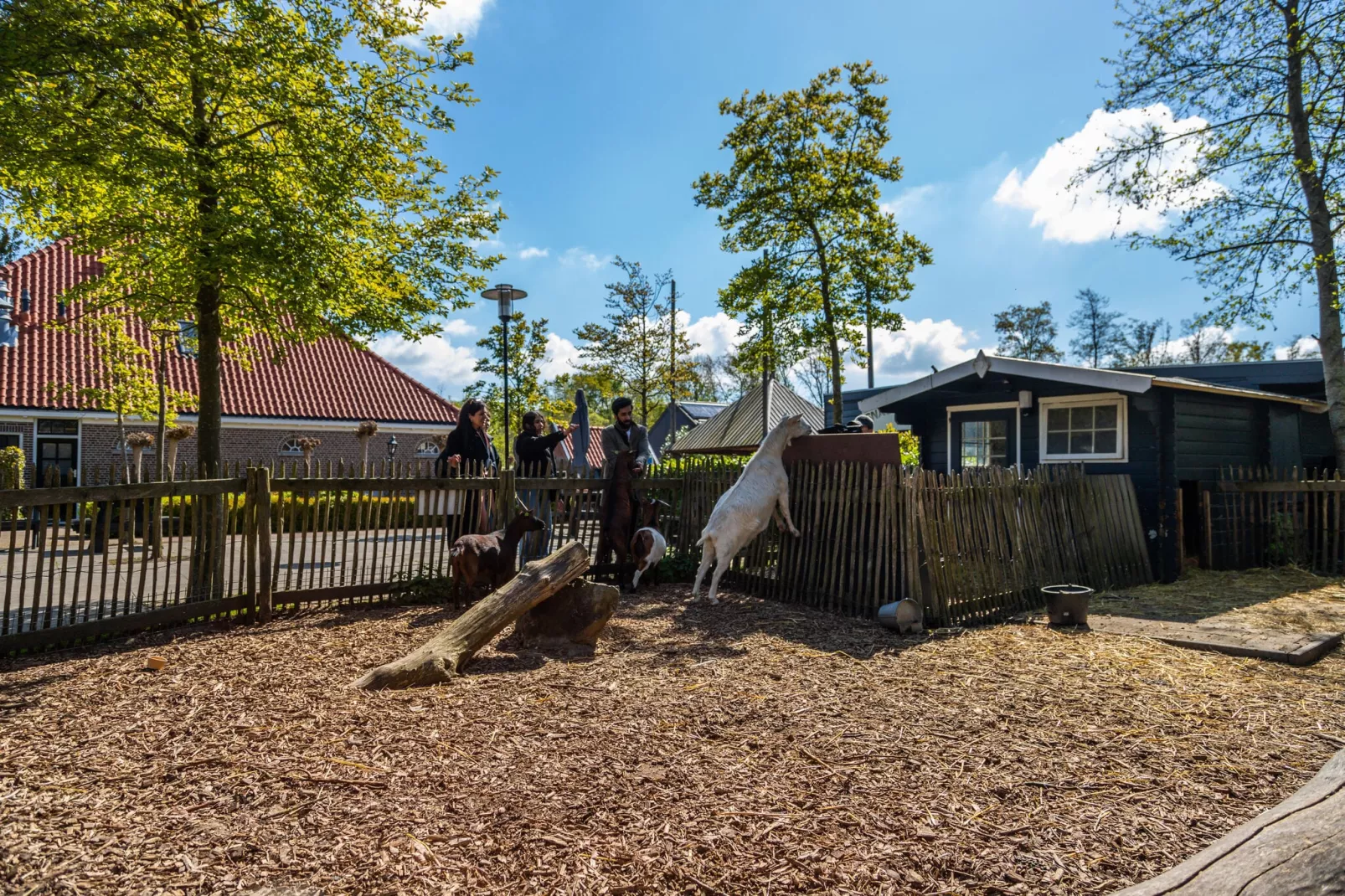 Resort Buitenhuizen 11-Park facilities
