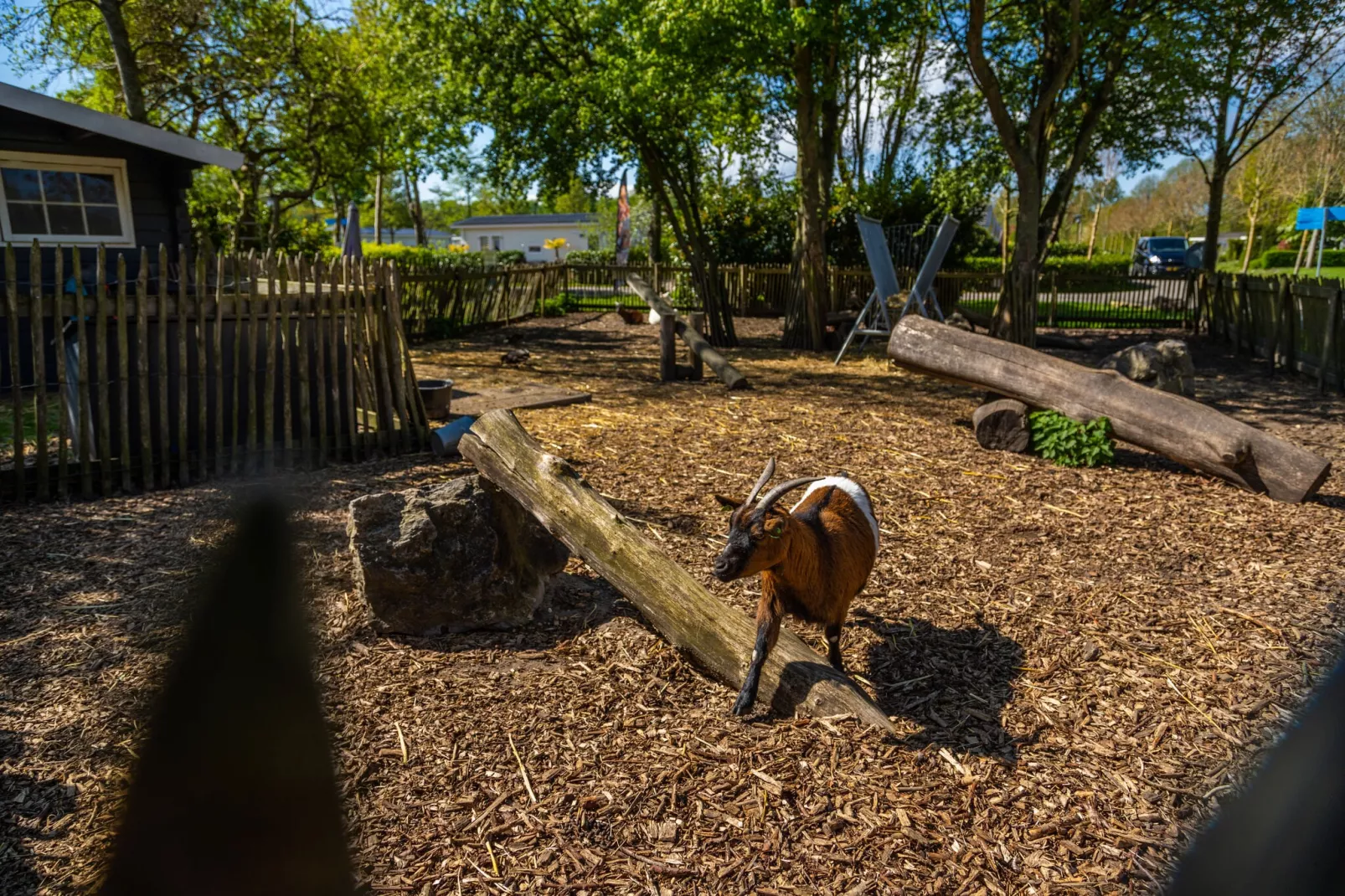Resort Buitenhuizen 11-Park facilities