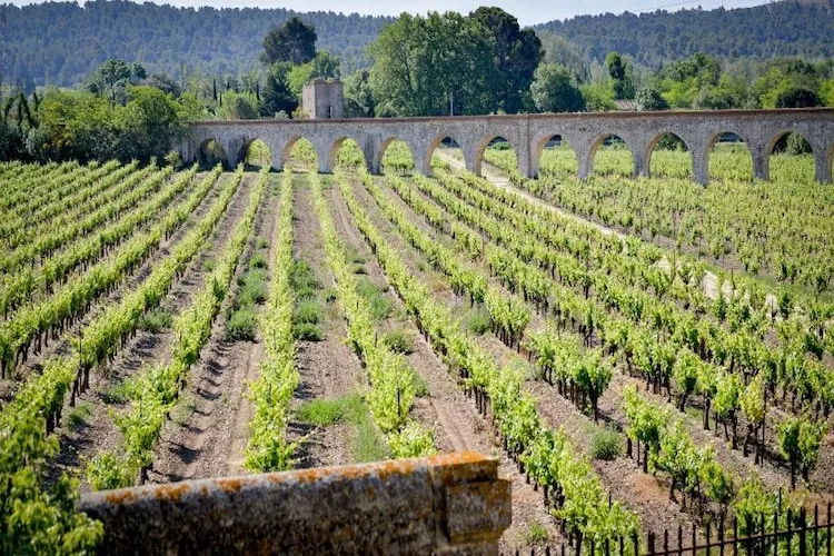 Résidence du Château de Jouarres - Azille // Apt 3 P 6 pers - Gebiete Sommer 5 km