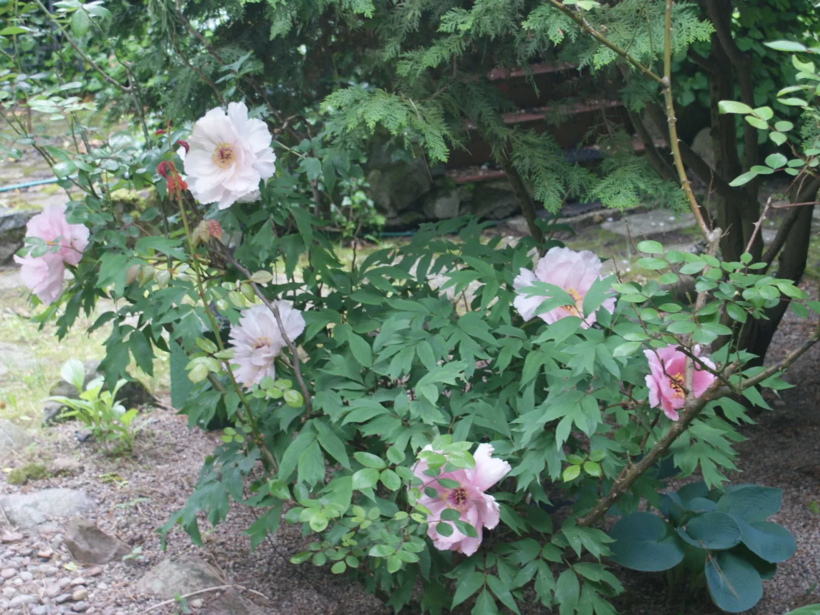 Ruhe am Meer - Ferienhäuser in den Gärten von Magra - Image-tags.info