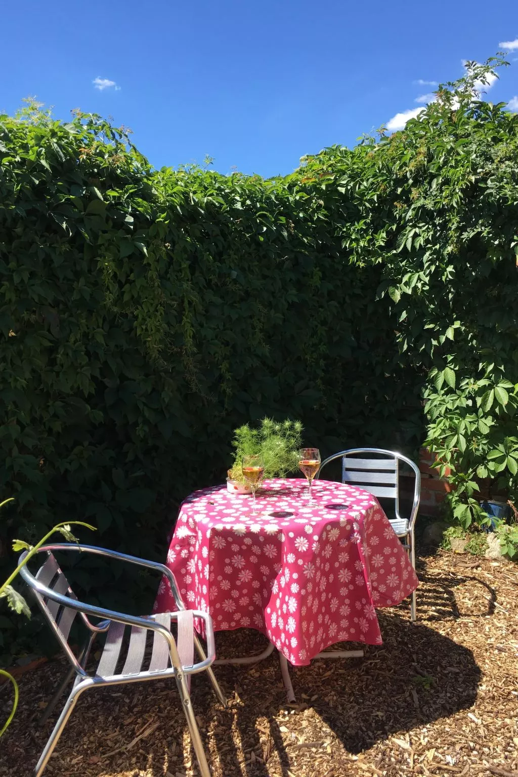 Holunderzimmer - Draußen