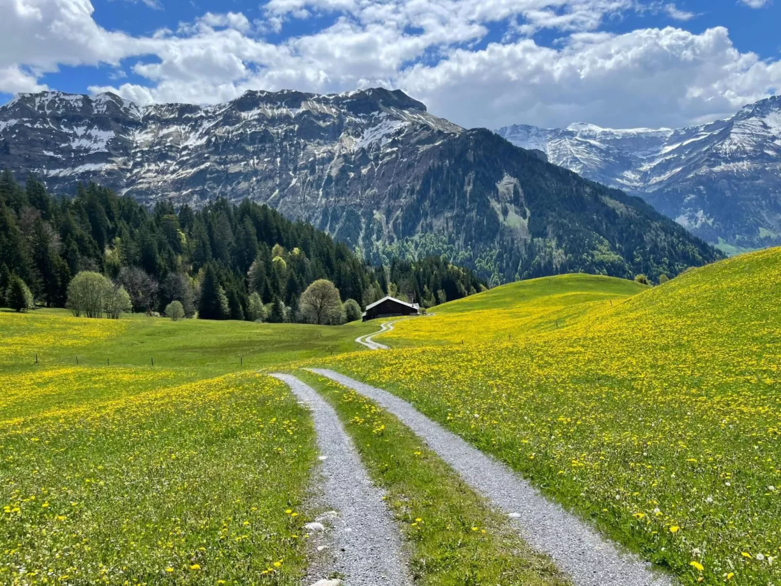 Mattishüüsli - Image-tags.info