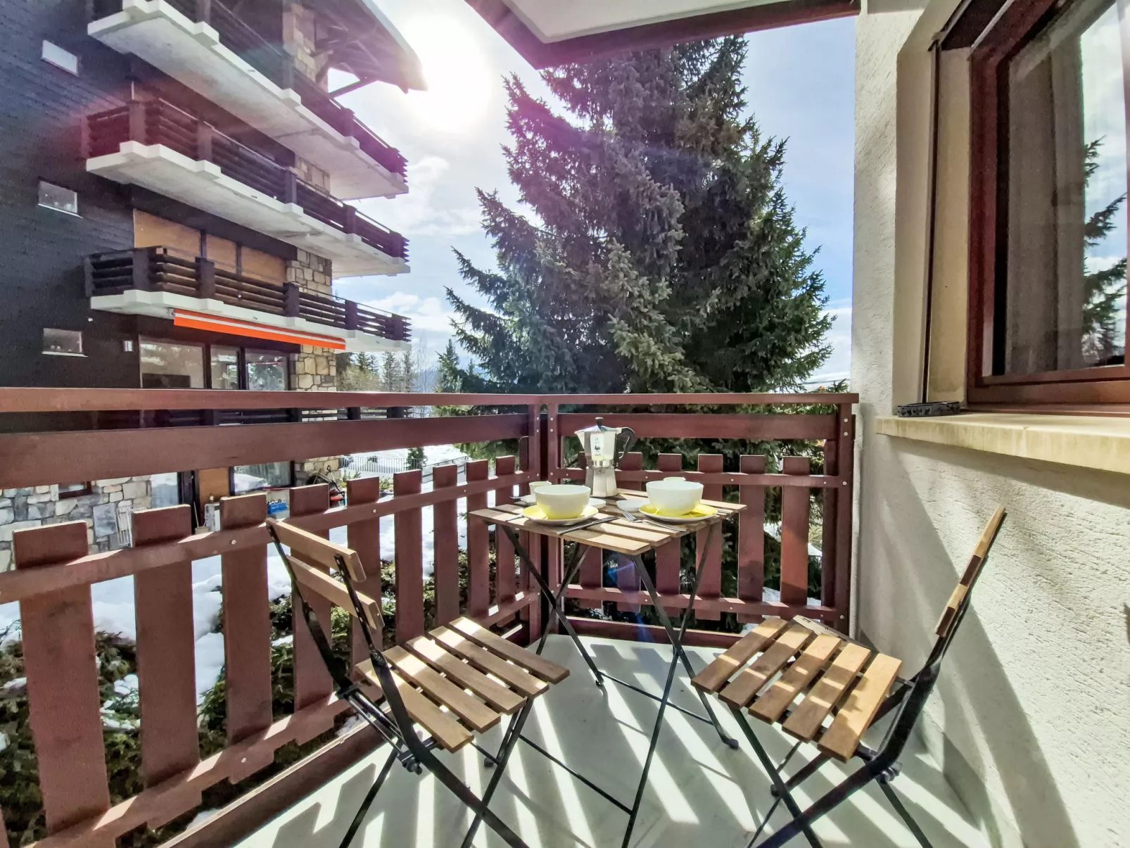 Violettes Vacances A303 - Dehors