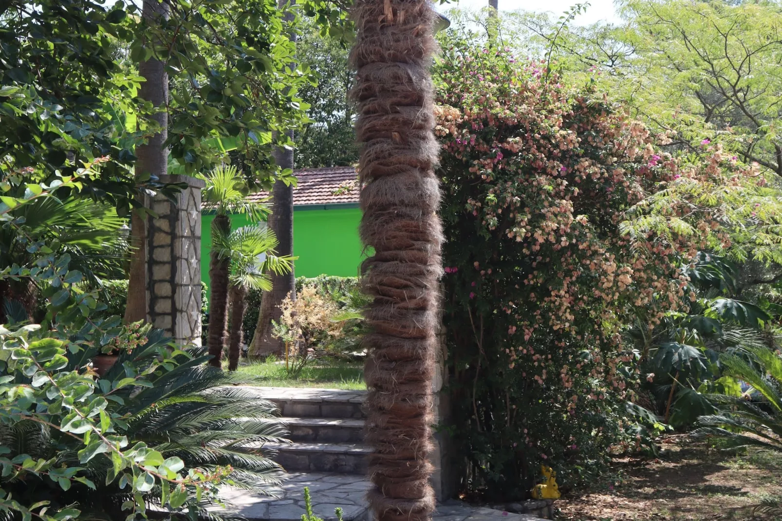 Silver Gate Rooms-Diocletian's Palace - Twin Room - Extérieur