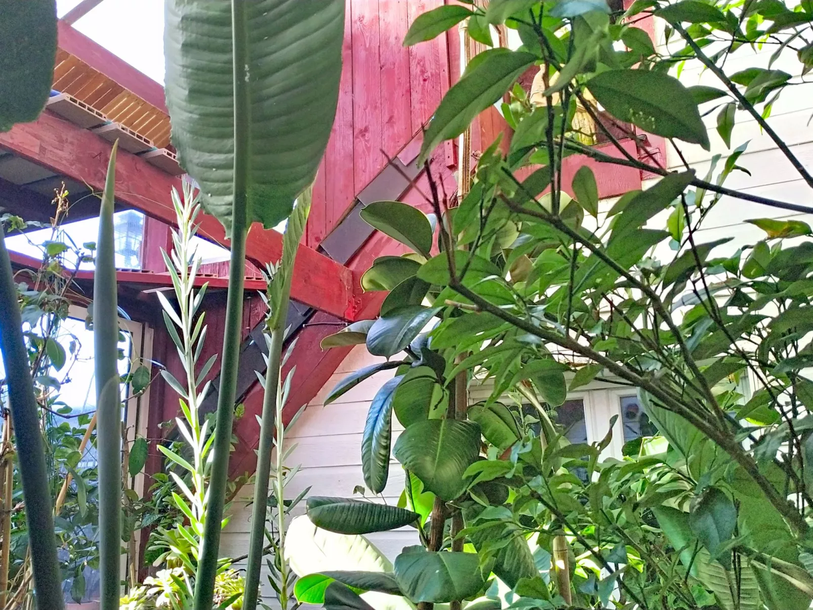 Le Nautilus - Draußen