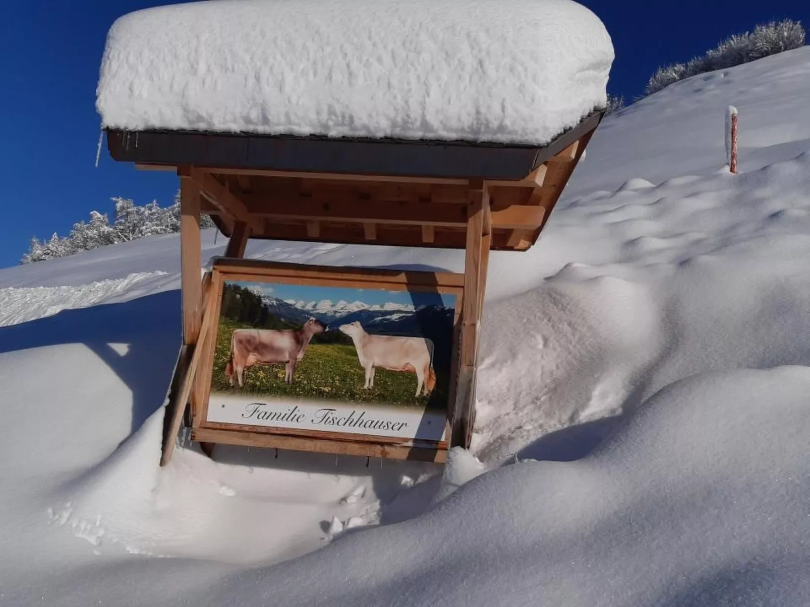 Hof Unterstein - Dehors