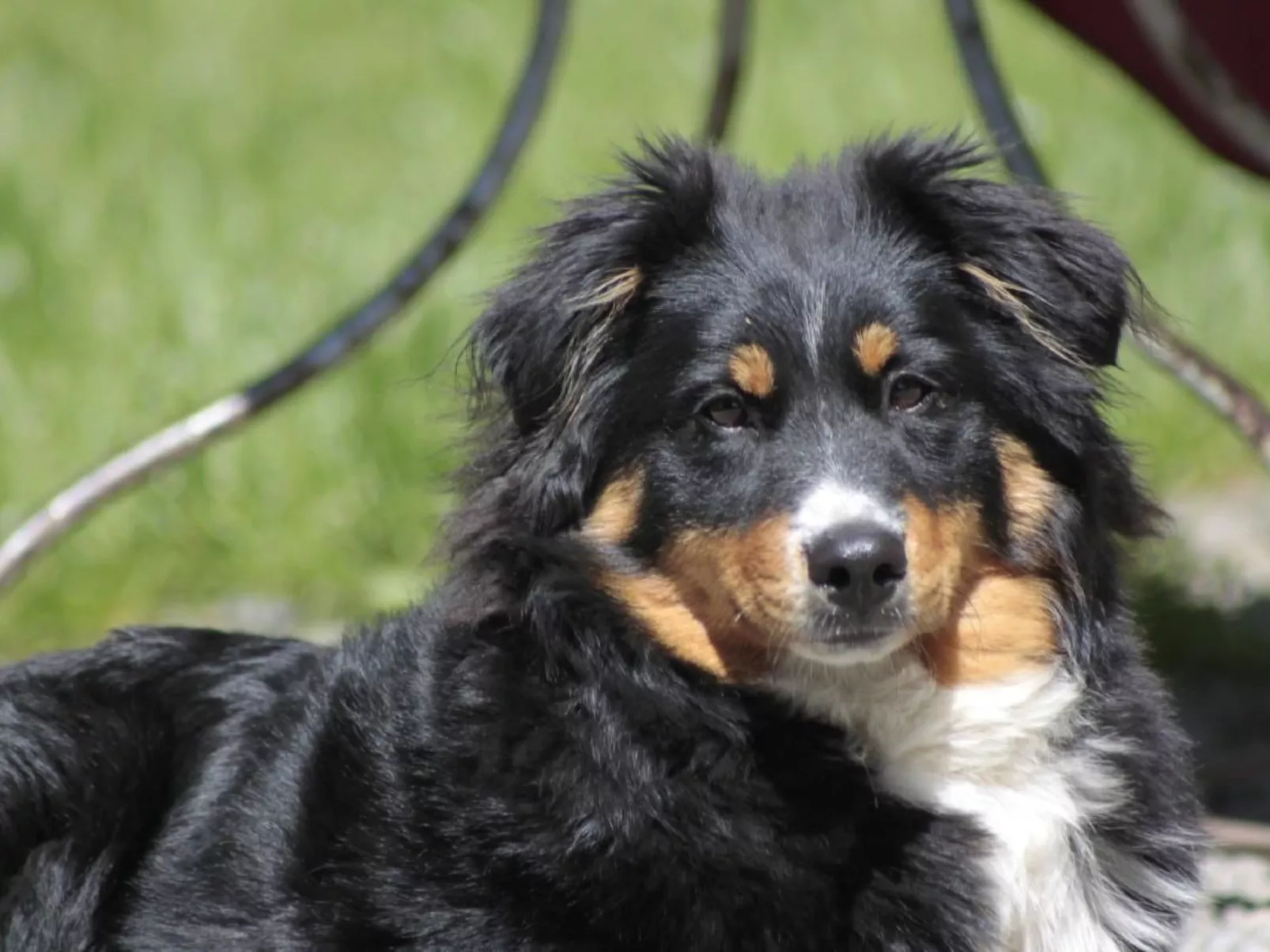 Bio Hof Rosentürmli gross - Outside