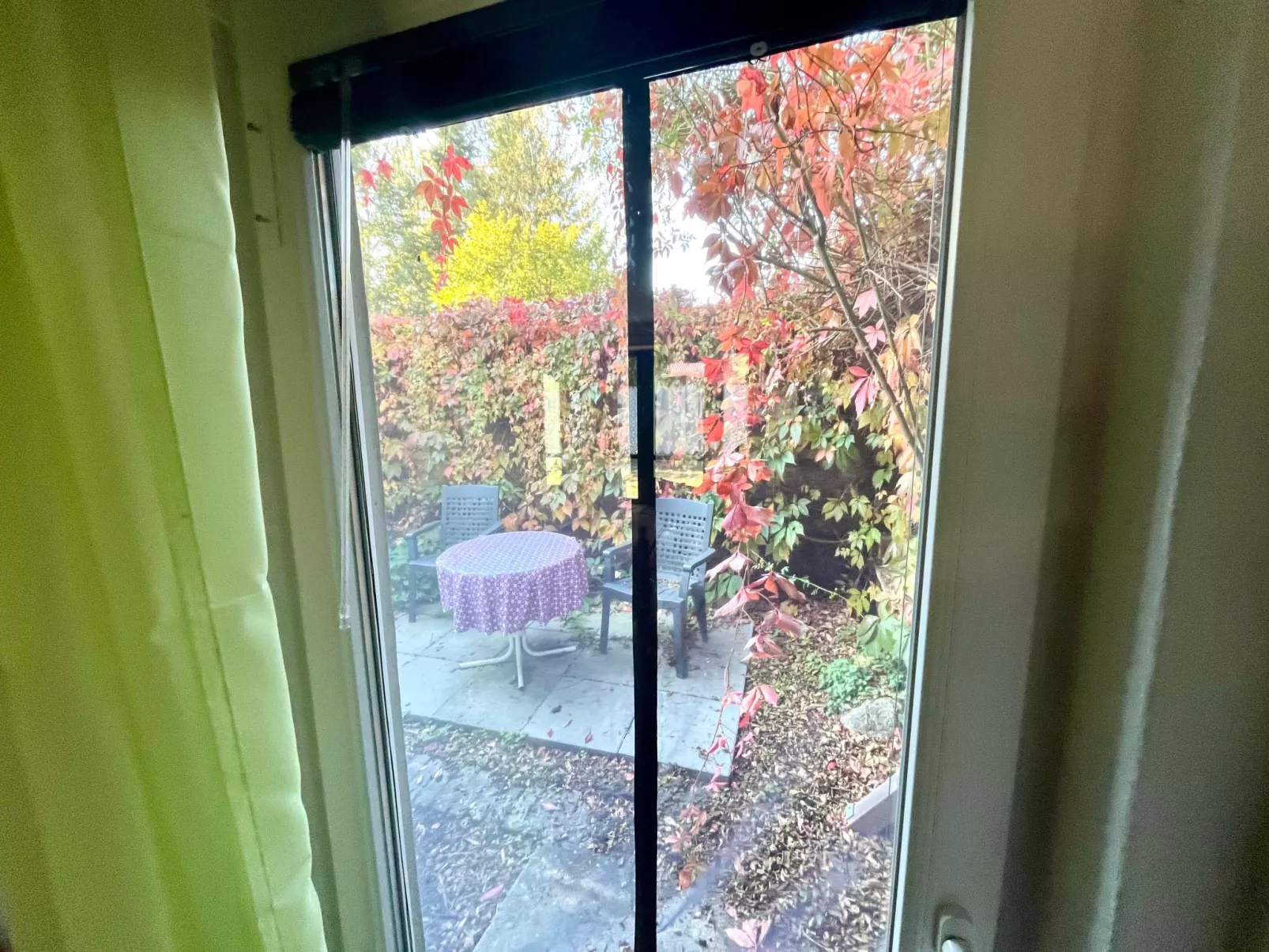 Holunderzimmer - Draußen