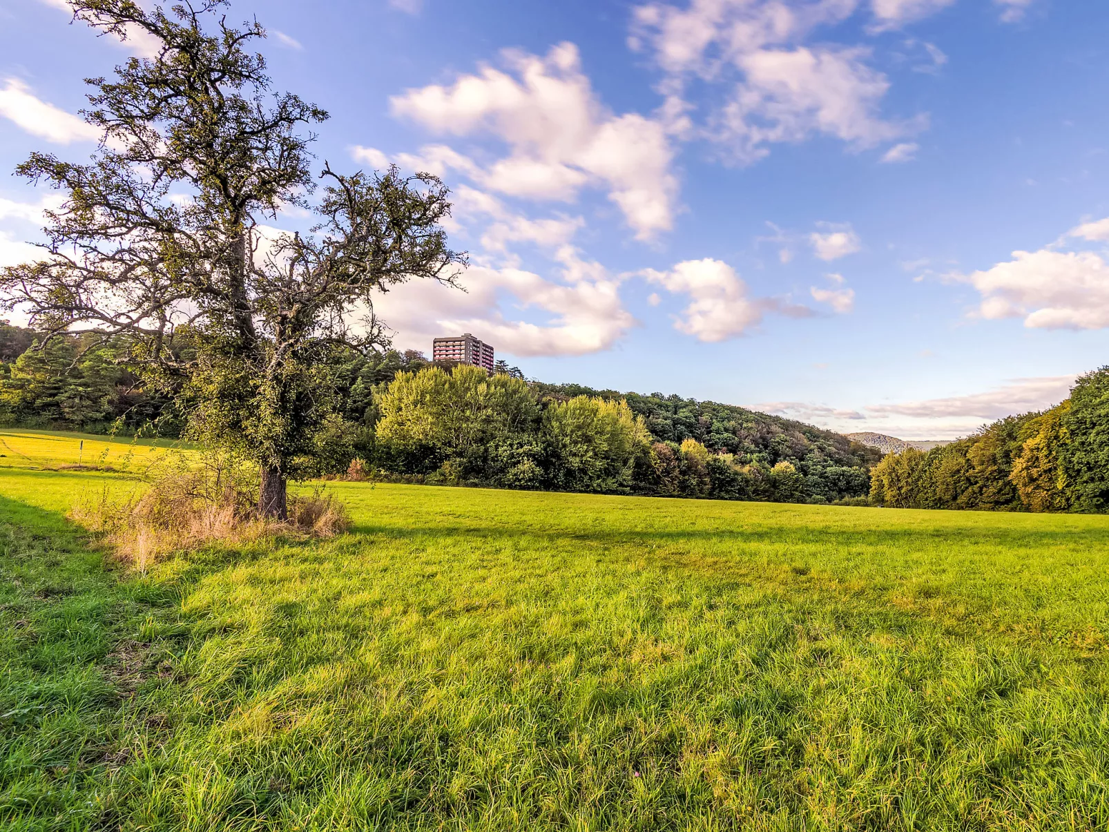 Ferienpark Rhein-Lahn - Outside