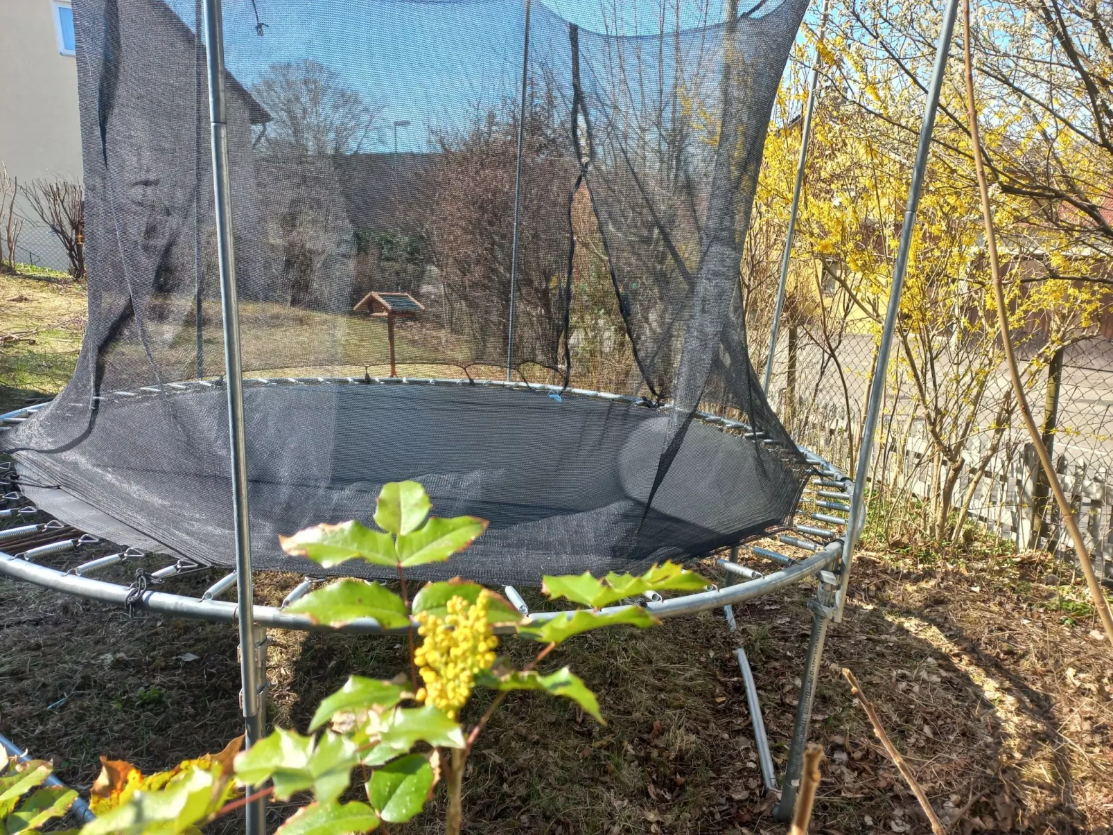 FeWo Heidenheim Bluewall - Image-tags.info