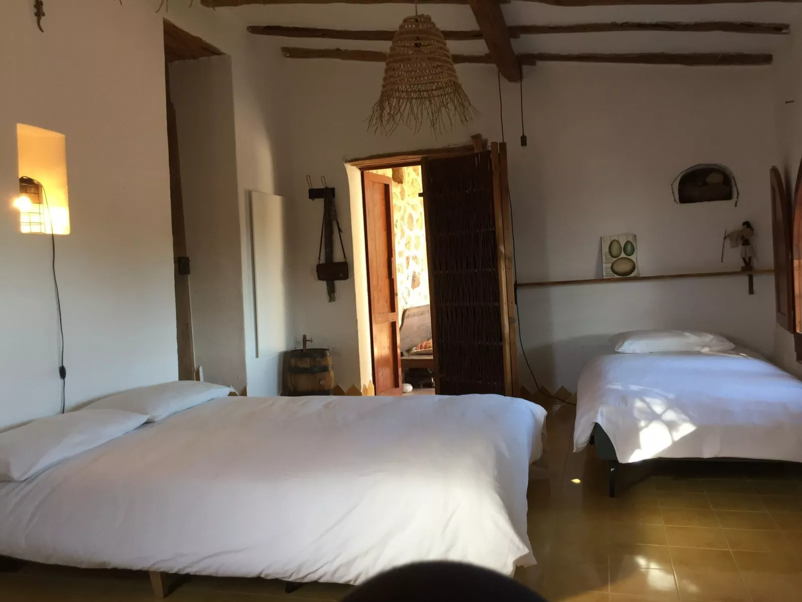 "Cosima" mit Blick auf das Wasser - Image-tags.info