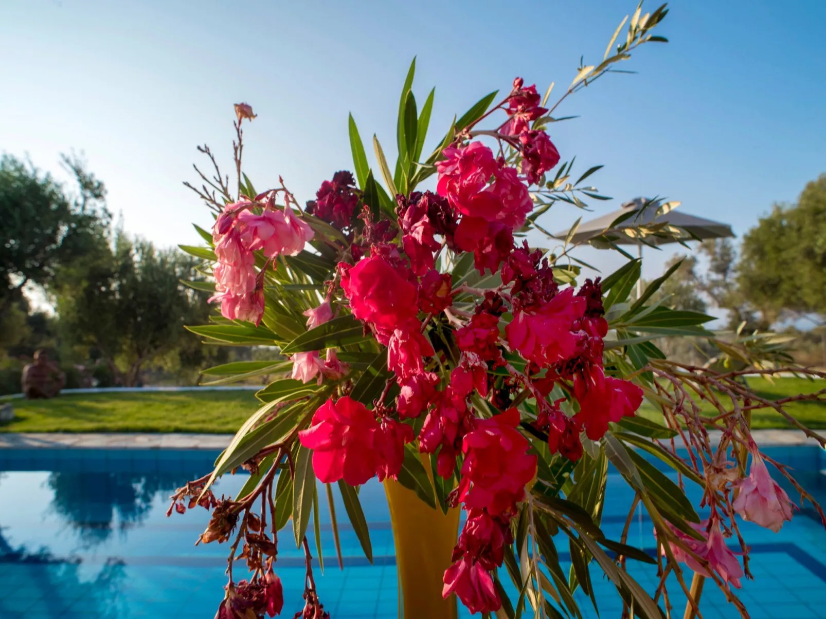 Villa Kyria Kreta - Image-tags.info