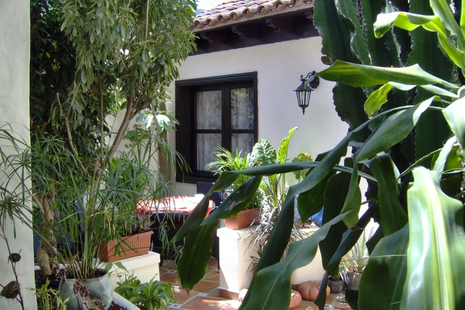 Apartamentos Monasterio de San Antonio 2 - Exterior in summer