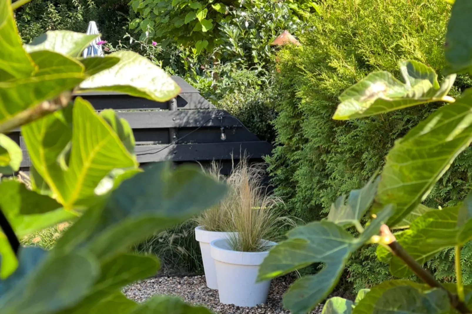 Duinvilla Zilt-Gardens summer