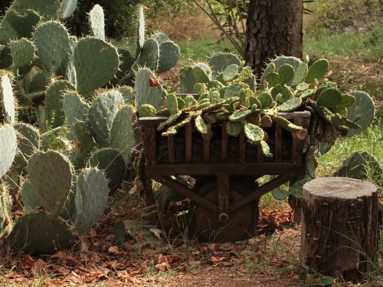 Modernes Ferienhaus in Drenje mit Privatem Garten - Inside