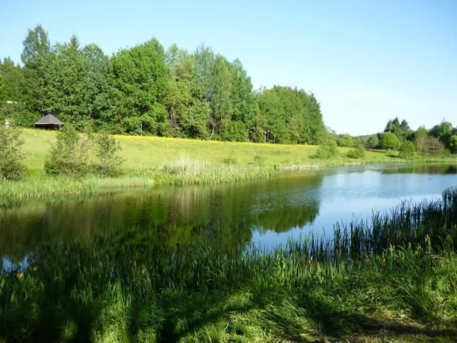 Moderne Ferienwohnung mit Gartennutzung - Outside