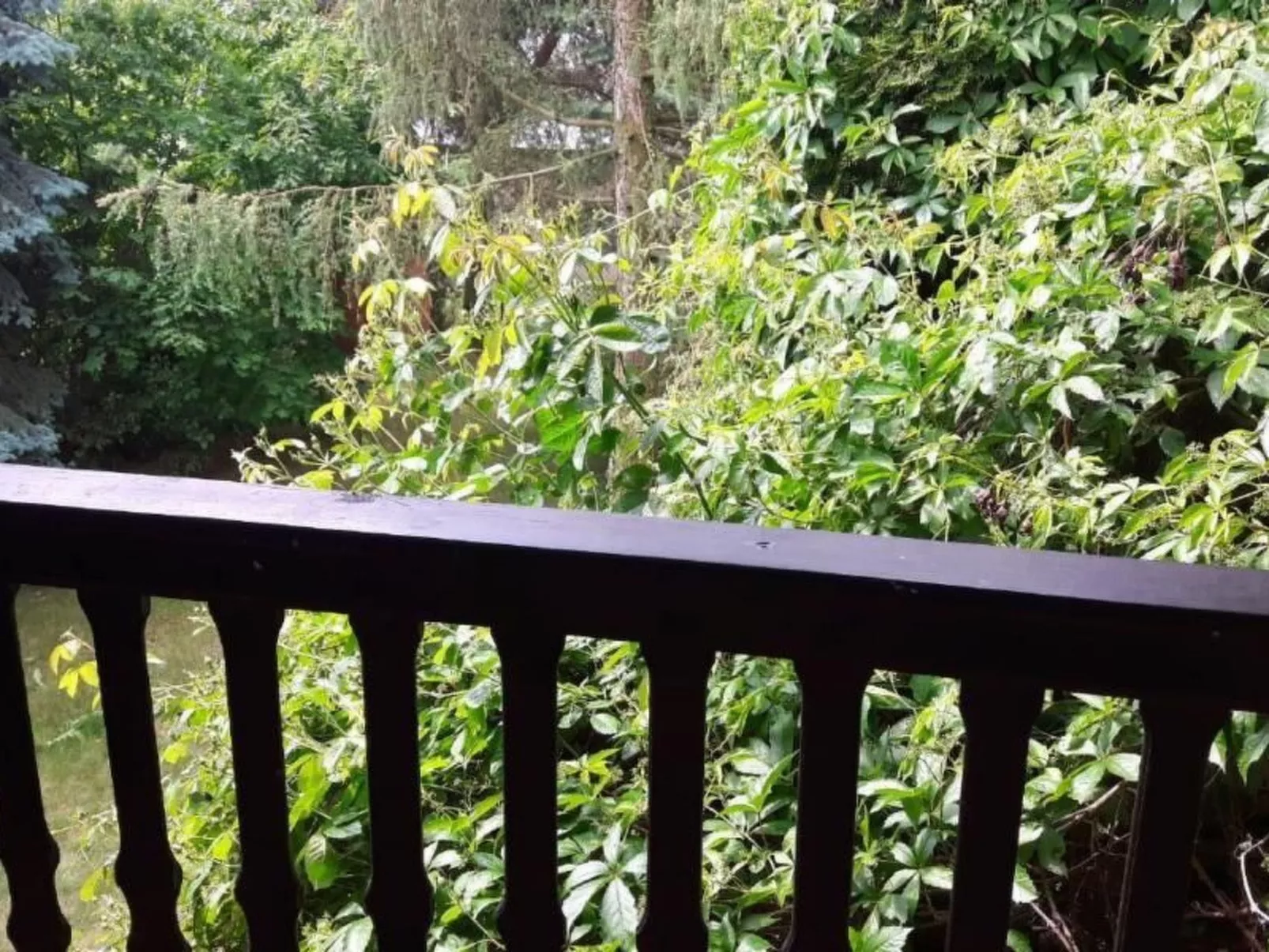 Mit Wasserblick - Image-tags.info