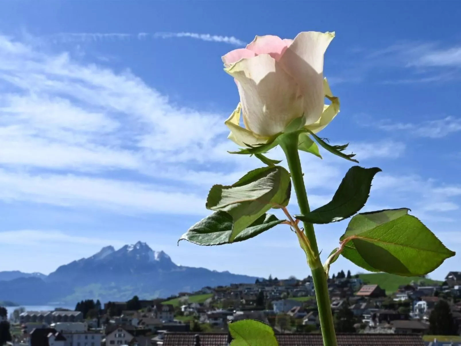 Appartement Alpenblick / F6 - Draußen