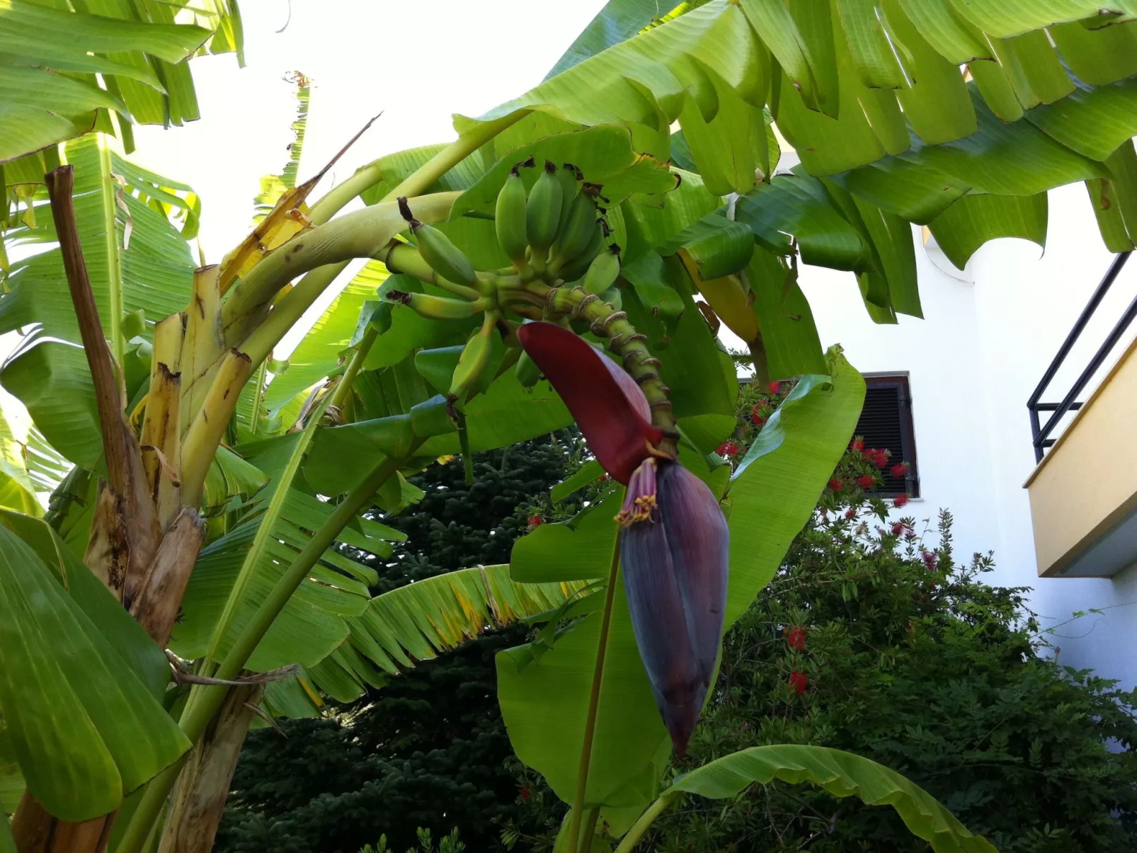 Aus dem Garten direkt an den Strand - Outside