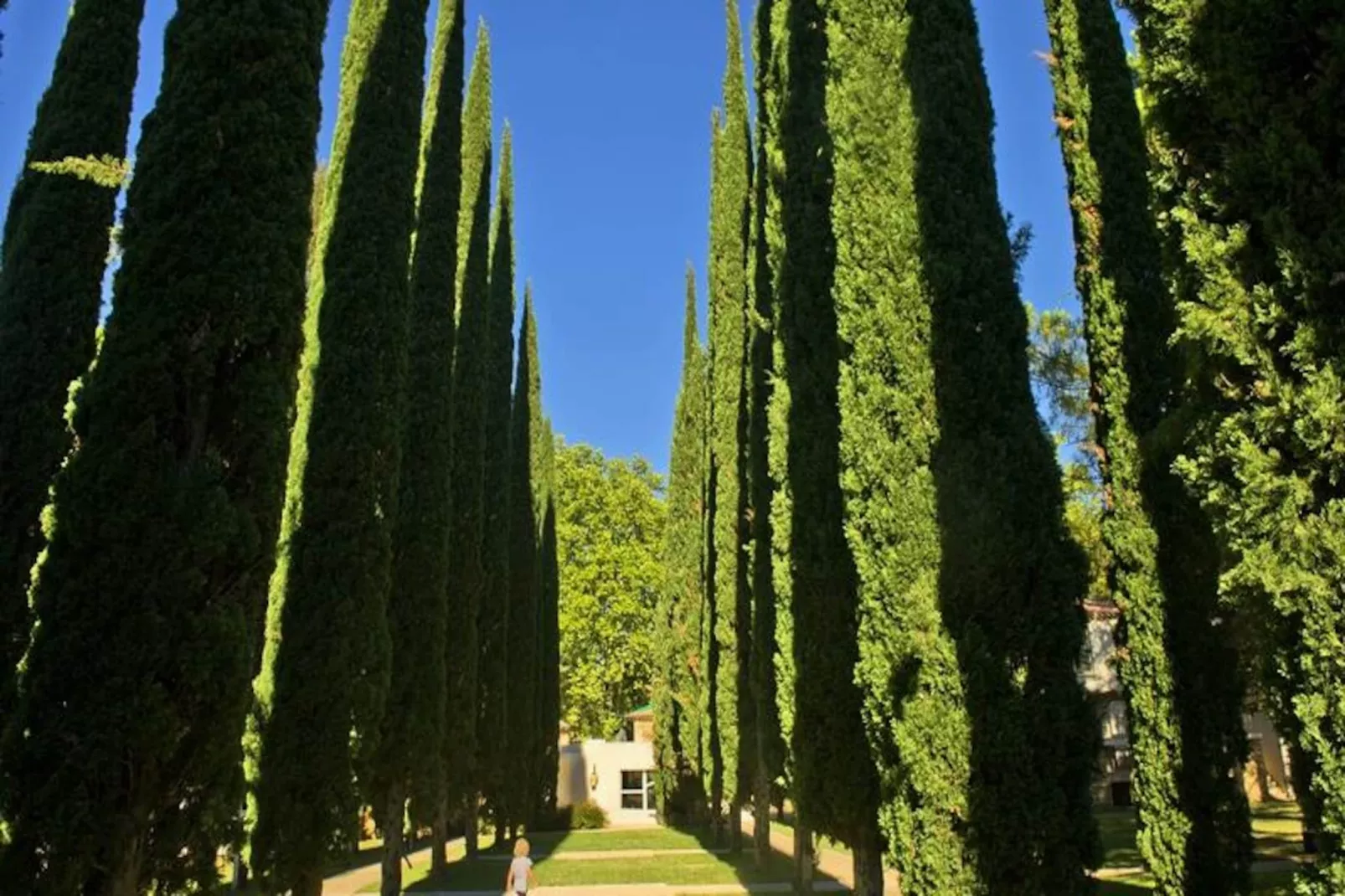 Résidence Goélia Le Domaine du Moulin Blanc*** - Non tagué