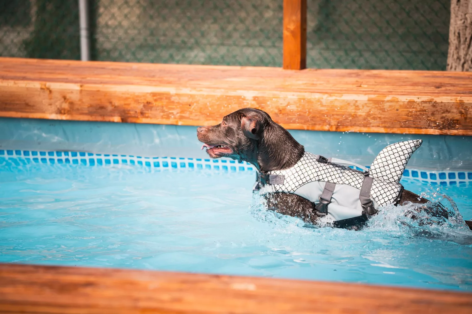 Rimini Family Resort - LODGE SUPERIOR - Park facilities