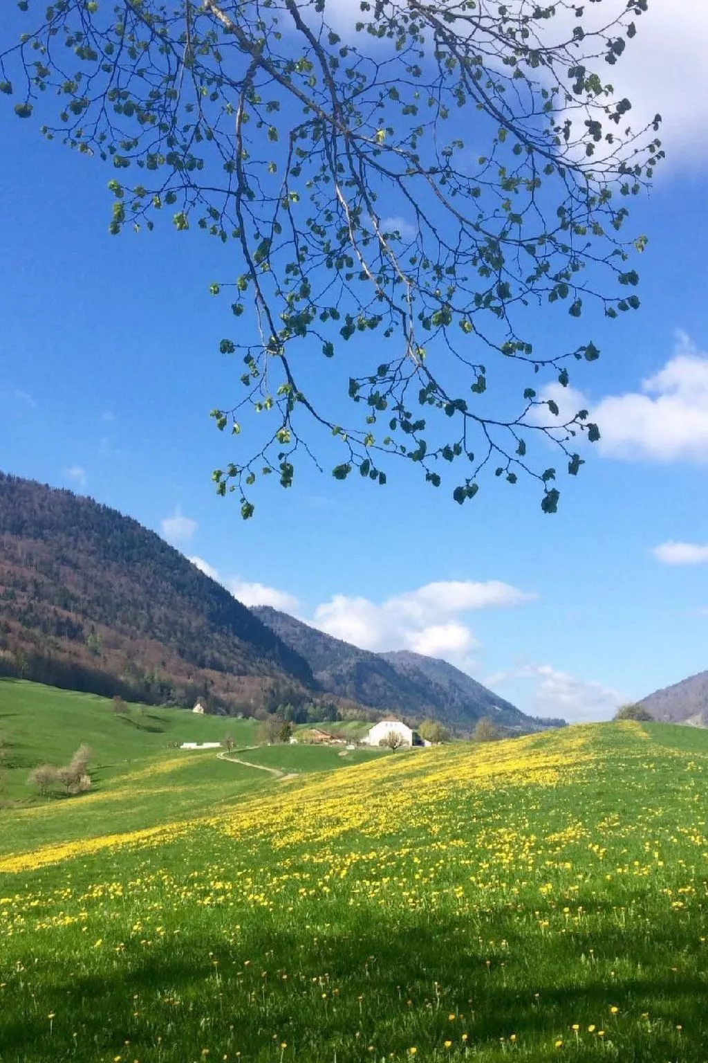 Schafmatthof 1 Obergeschoss - Draußen