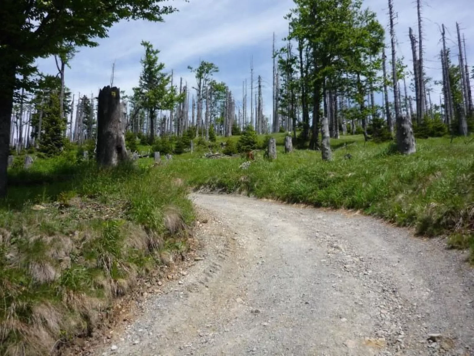 Moderne Ferienwohnung mit Gartennutzung - Outside