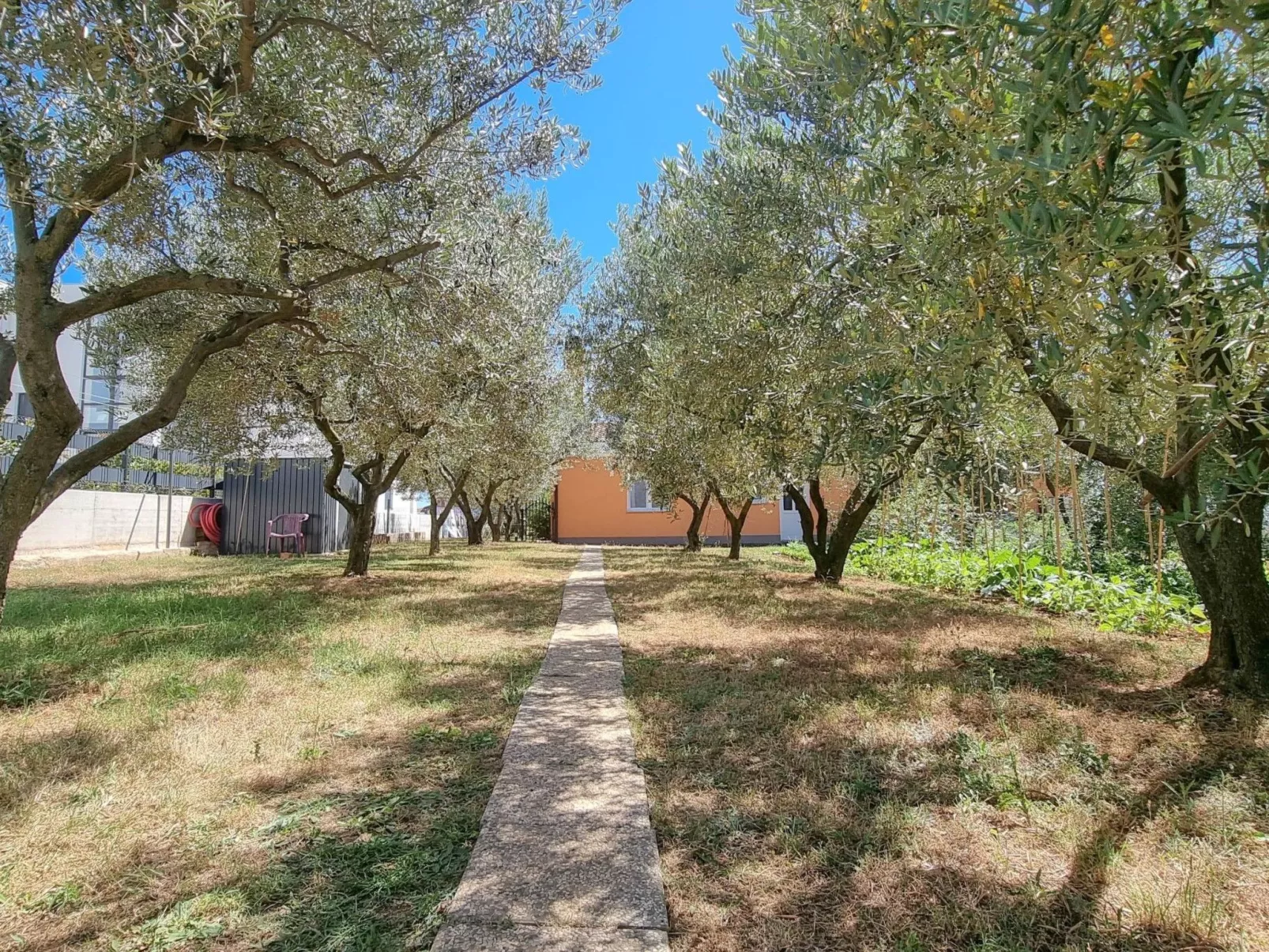 Wohnung "Barbara" mit Terrasse - Dehors