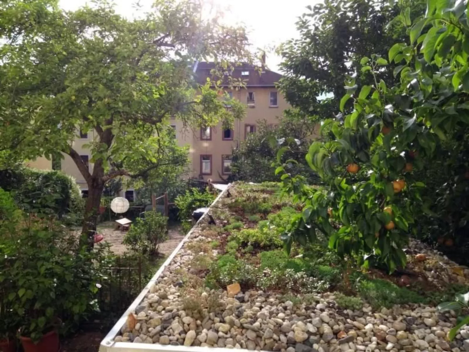 Apfeltraum - Outside