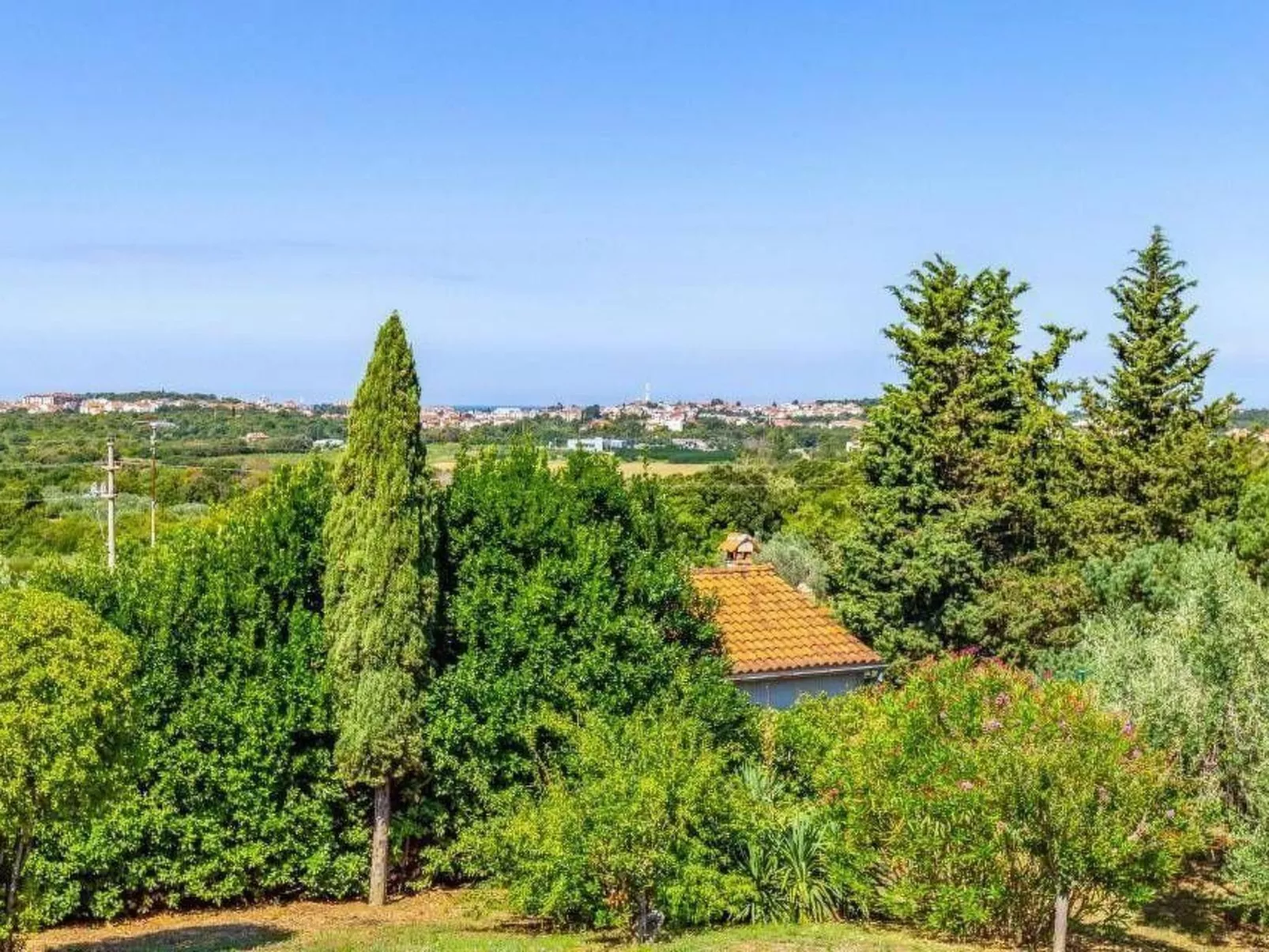 Olive Garden Zimmer - Outside