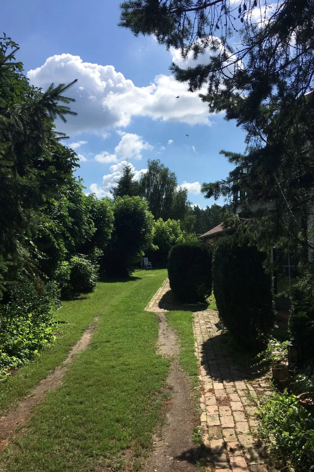 Holunderzimmer - Draußen