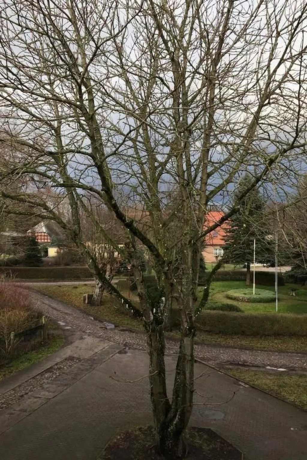 Kastanienblick - Draußen