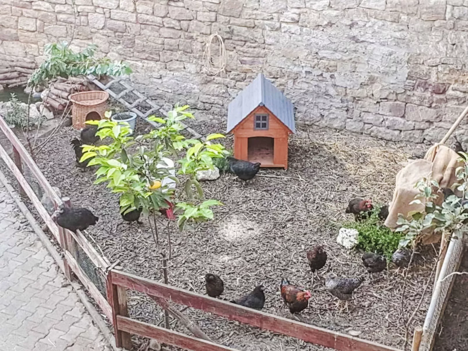 Tinkerhof Stahlhut - Dehors