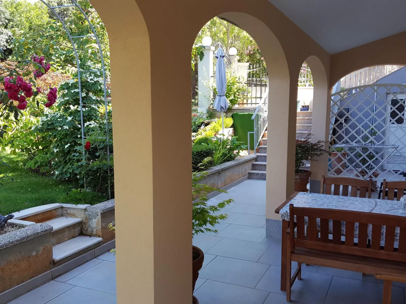 Ginkgo 3 - Image-tags.info