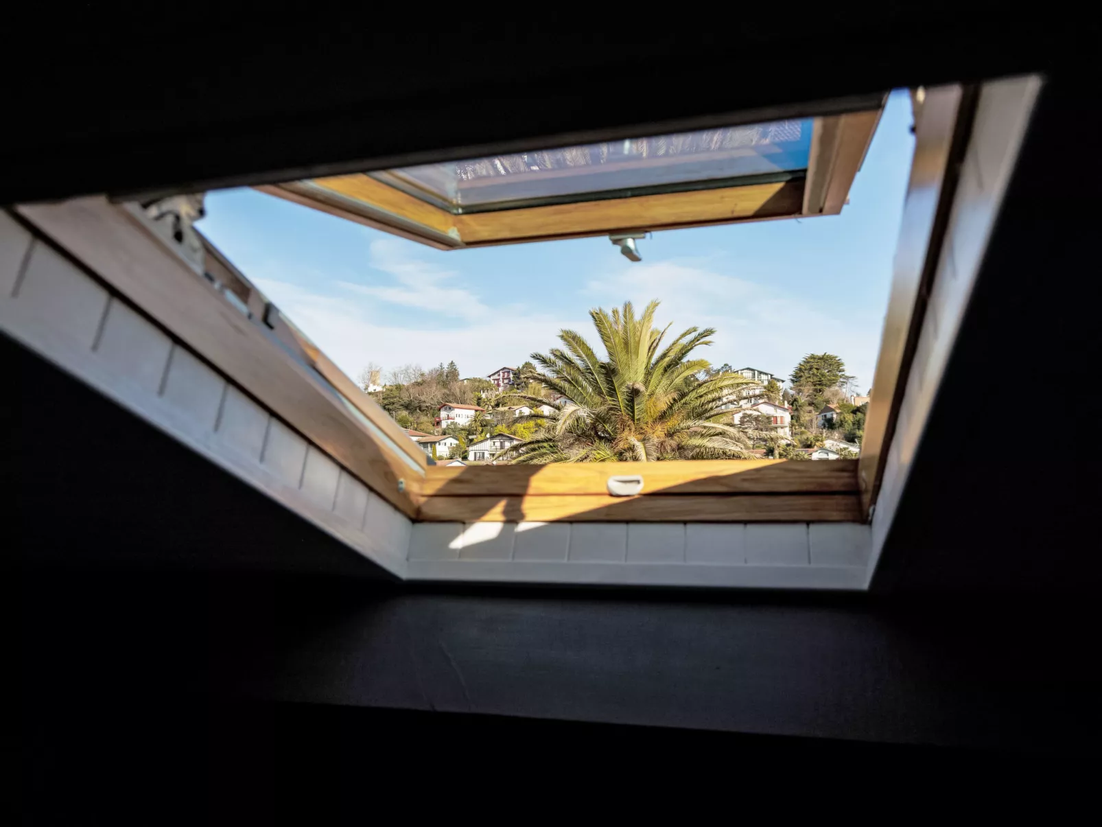 Barasteguia - Outside